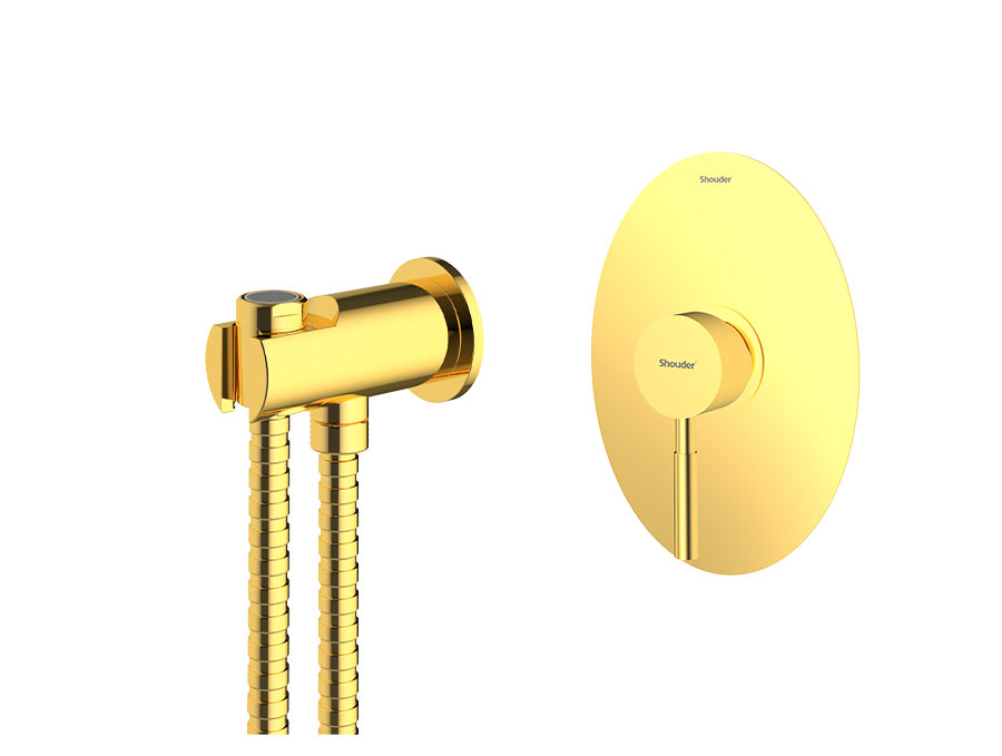 Rogen  Toilet Concealed Gold-1